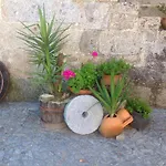 Vakantieboerderij Casa Da Ponte Do Porto *