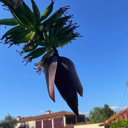 Casa Da Ponte Do Porto * Amares