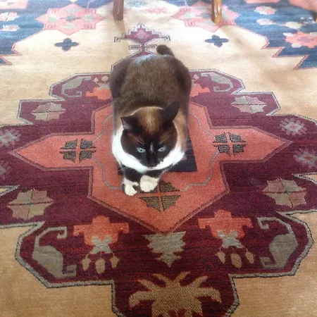 Farm stay Casa Da Ponte Do Porto *