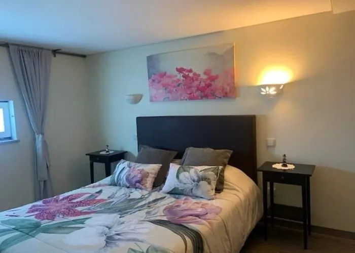 Casa Da Ponte Do Porto 팜스테이 아마레스