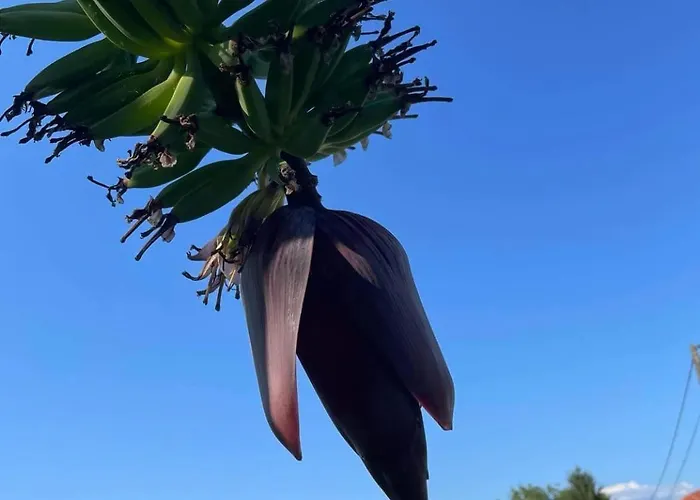 Casa Da Ponte Do Porto * 아마레스