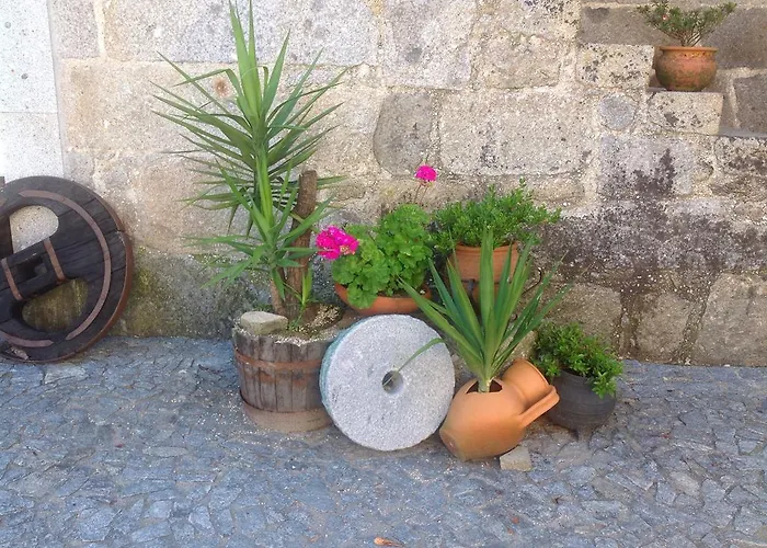 Κατάλυμα σε φάρμα Casa Da Ponte Do Porto *