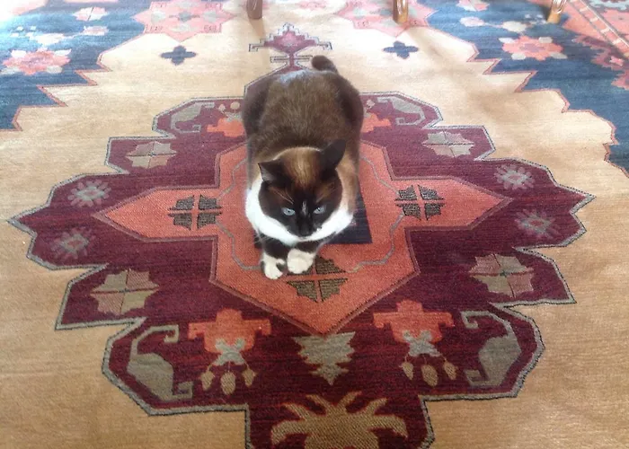 팜스테이 Casa Da Ponte Do Porto *